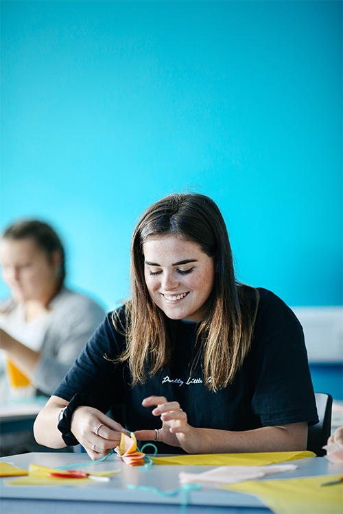 Access to Higher Education student